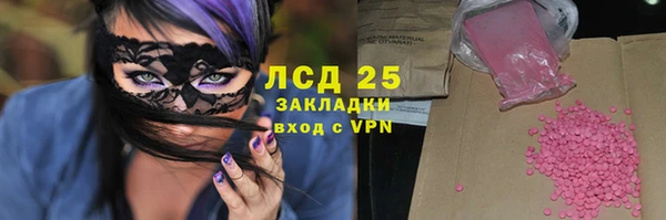 молекула духа Богданович