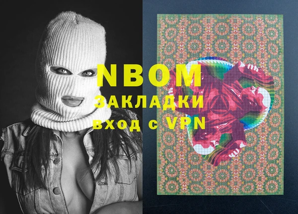 молекула духа Богданович