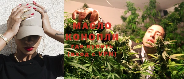 молекула духа Богданович