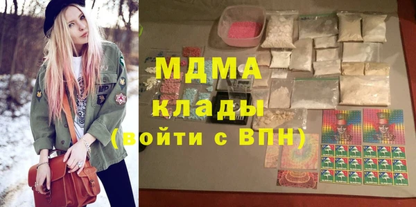 молекула духа Богданович