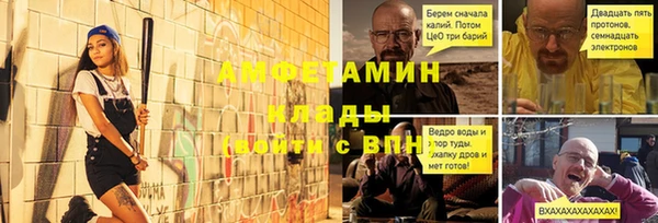 молекула духа Богданович