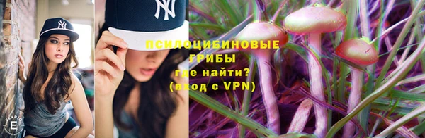 молекула духа Богданович
