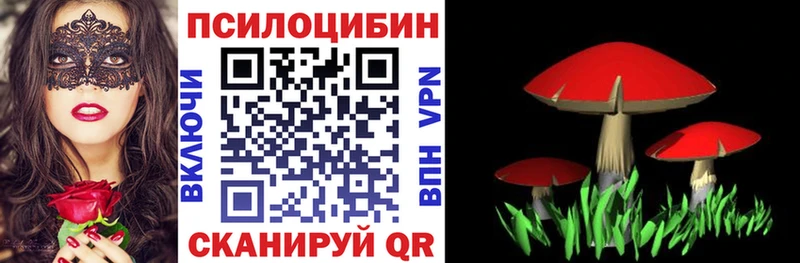 дарнет шоп  гидра онион  Галлюциногенные грибы MAGIC MUSHROOMS  Беслан 